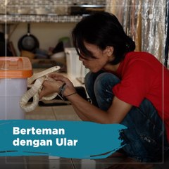 Berteman dengan Ular
