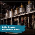 Intip Proses Bikin Gula Pasir