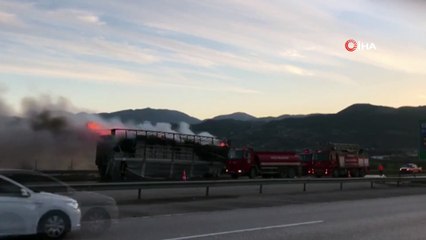 Halı Yüklü Tır Alev Alev Yandı