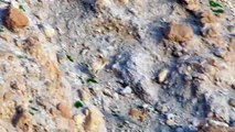 Baby ibex descends mountains to escape a fox - Planet Earth II- Mountains - BBC