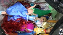 Eu Sophia e Meus Brinquedos da Disney Princesas,   Sofia, Vampirina, Moana e Doutora Brinquedos