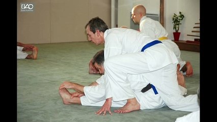 Stage Shotokai Murakami Paris 2020 - Ecole Mushinkai