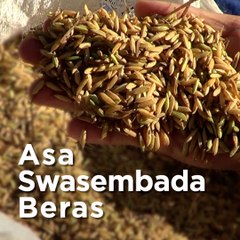 Asa Swasembada Beras
