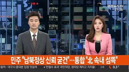 민주 "남북정상 신뢰 굳건"…통합 "北 속내 섬뜩"