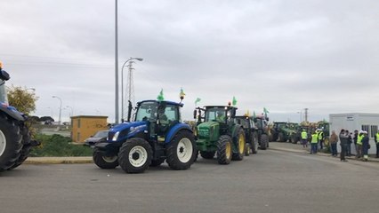 Arranca la tractorada del sector agrario en la A-49 (Huelva)