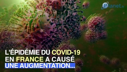 Covid-19 : les rayons vides vont-ils augmenter dans les supermarchés ?