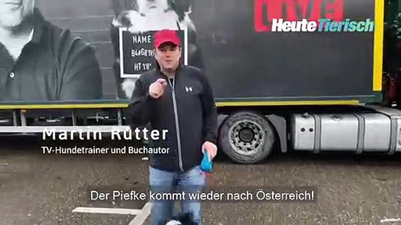 TV-Hundetrainer Martin Rütter auf Tour in Österreich