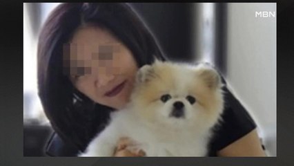 홍콩에서 확진자 반려견도 '감염'…사람→동물 전파 가능성