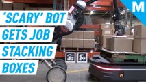 Once terrifying Boston Dynamics robot rolls up sleeves for warehouse job