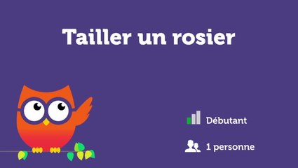 Tailler un rosier