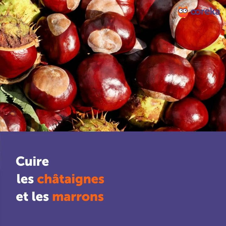 Cuire les châtaignes et les marrons