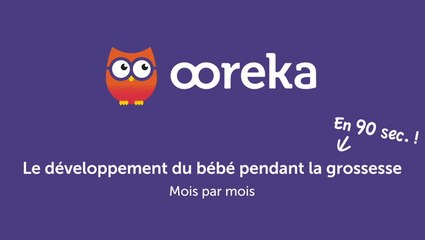 Développement du bébé pendant la grossesse