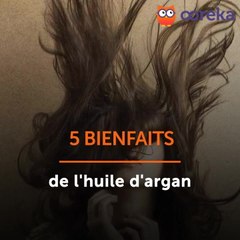 Bienfaits de l'huile d'argan