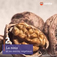 Aliments pour diminuer votre cholestérol