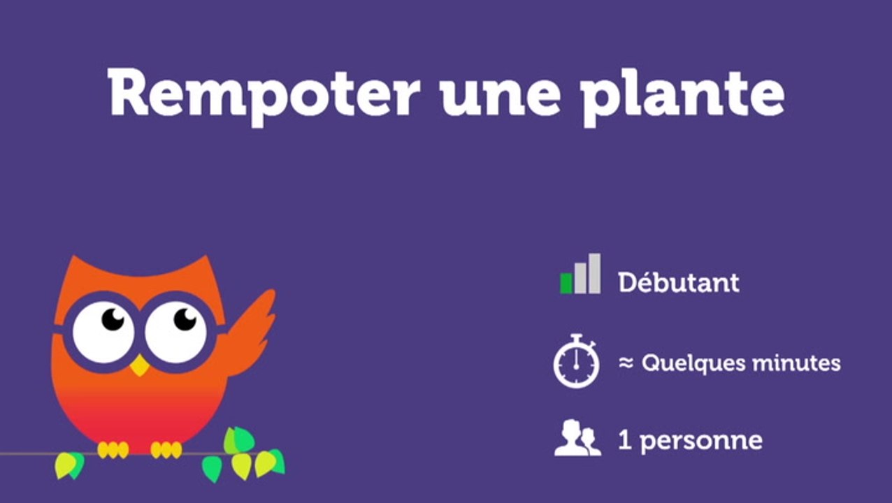 Rempoter une plante