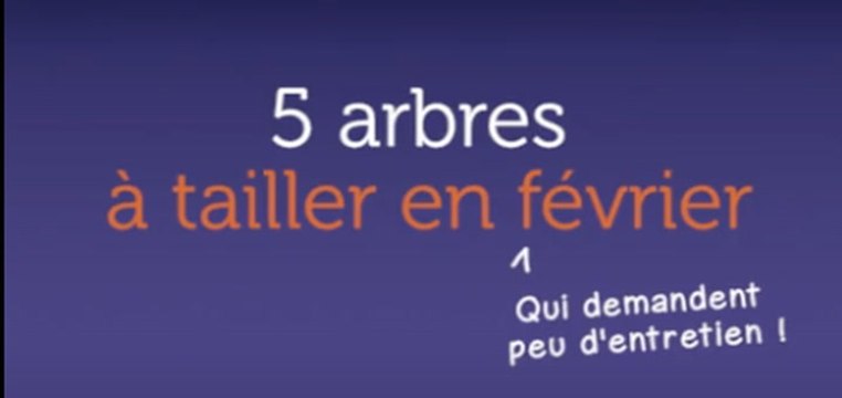5 arbres à tailler en février