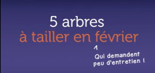 5 arbres à tailler en février