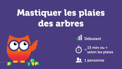 Mastiquer les plaies des arbres