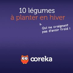 10 légumes à planter en hiver