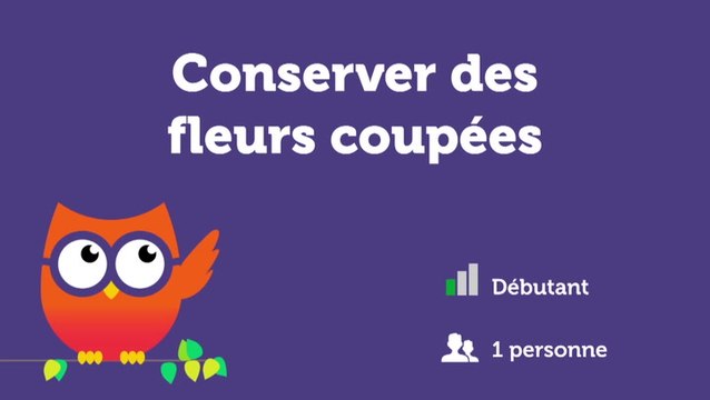 Conserver des fleurs coupées