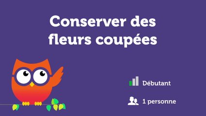 Conserver des fleurs coupées