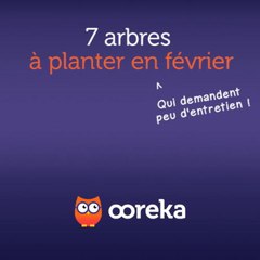 7 arbres à planter en février