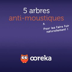 5 arbres anti-moustiques