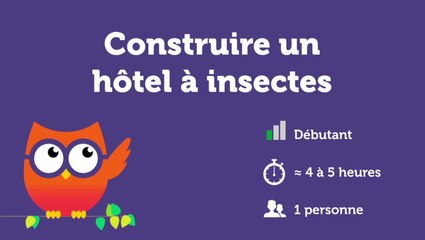 Comment construire un hôtel à insectes ?