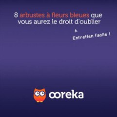 8 arbustes à fleurs bleues que vous aurez le droit d'oublier