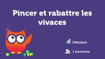 Pincer et rabattre les vivaces