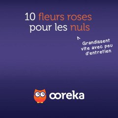 10 fleurs roses pour les nuls