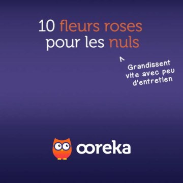 10 fleurs roses pour les nuls
