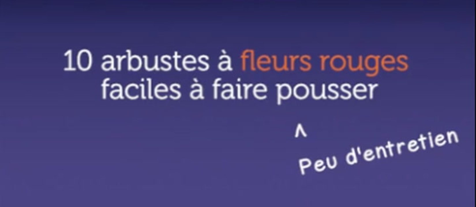 10 arbustes à fleurs rouges faciles à faire pousser