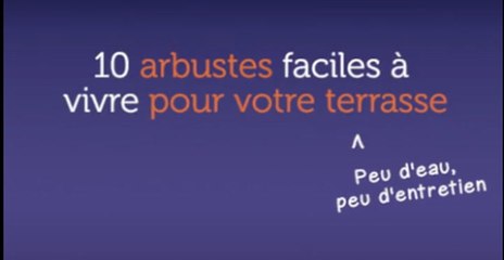 10 arbustes faciles à vivre pour votre terrasse