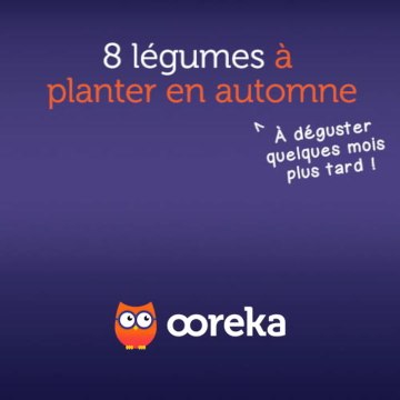8 légumes à planter en automne