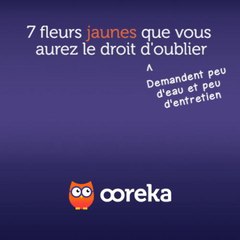 7 fleurs jaunes que vous aurez le droit d'oublier