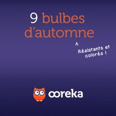 9 bulbes d'automne