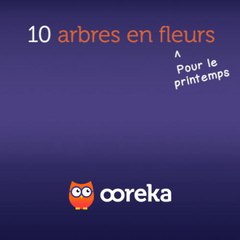 10 arbres en fleurs au printemps