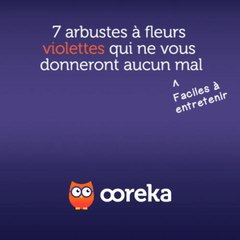 7 arbustes à fleurs violettes qui ne vous donneront aucun mal