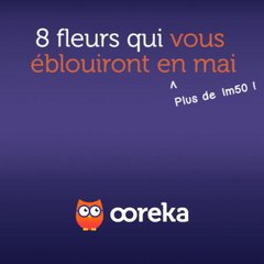 8 fleurs qui vous éblouiront en mai