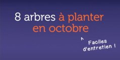 8 arbres à planter en octobre