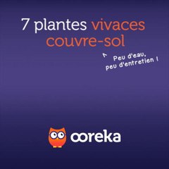 7 plantes vivaces couvre-sol