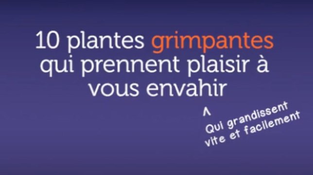 10 plantes grimpantes qui prennent plaisir à vous envahir