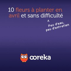 10 fleurs à planter en avril et sans difficulté