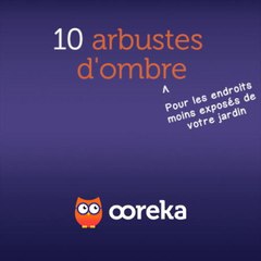 10 arbustes d'ombre