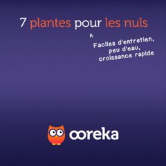 7 plantes pour les nuls