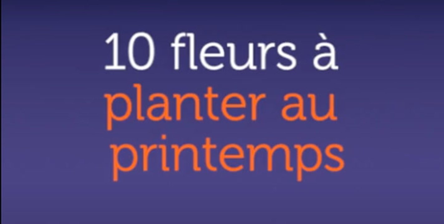 10 fleurs à planter au printemps