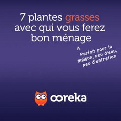 7 plantes grasses avec qui vous ferez bon ménage