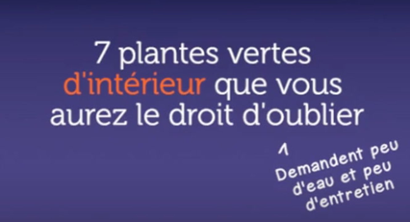 7 plantes vertes d'intérieur que vous aurez le droit d'oublier