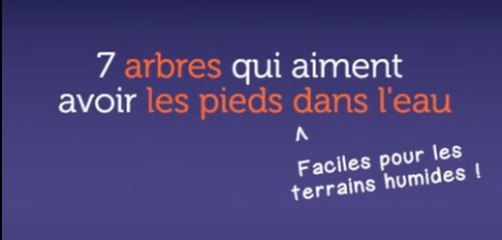 7 arbres qui aiment avoir les pieds dans l'eau